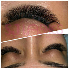 Multi Length in One Row Camellia Lashes Mink Silk Eyelash Extensions